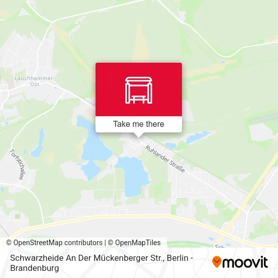 Карта Schwarzheide An Der Mückenberger Str.