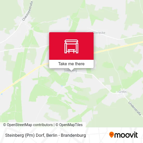 Steinberg (Pm) Dorf map