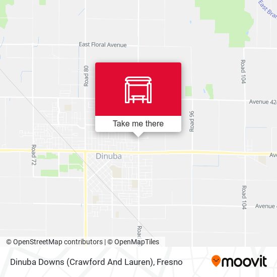 Dinuba Downs (Crawford And Lauren) map