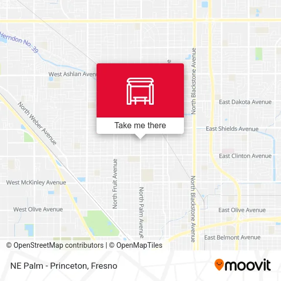 Mapa de NE Palm - Princeton