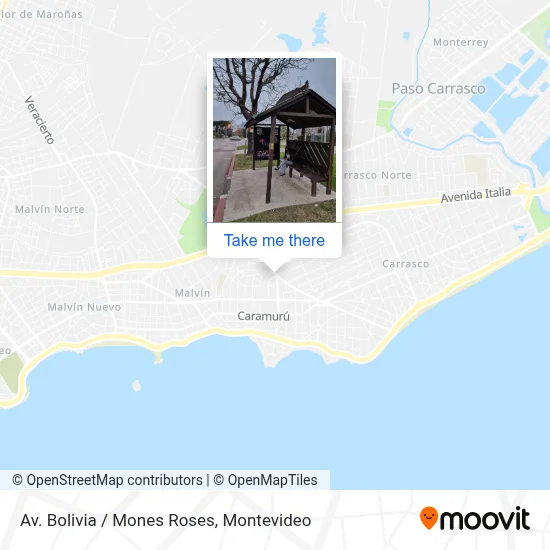 Av. Bolivia / Mones Roses map