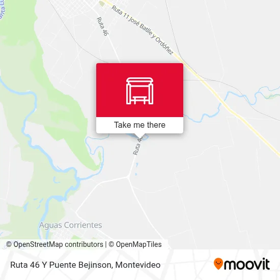 Ruta 46 Y Puente Bejinson map