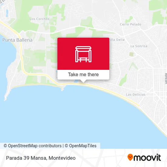Parada 39 Mansa map