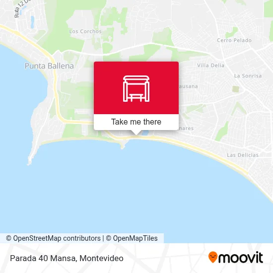 Parada 40 Mansa map