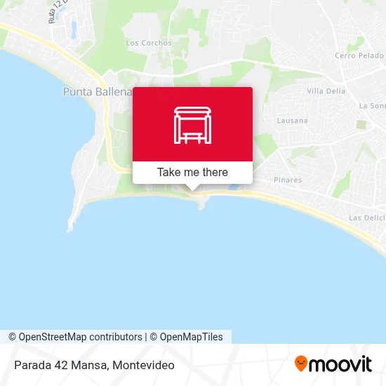 Parada 42 Mansa map
