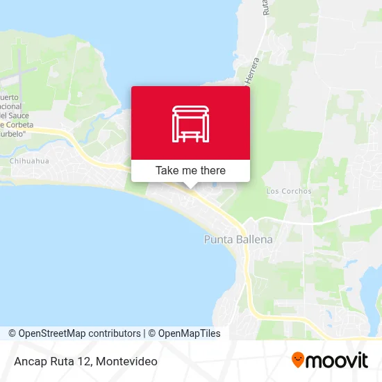 Ancap Ruta 12 map
