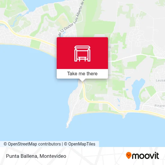 Punta Ballena map