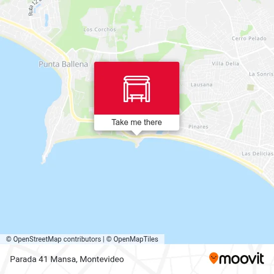 Parada 41 Mansa map