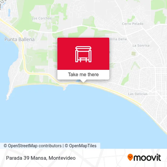 Parada 39 Mansa map