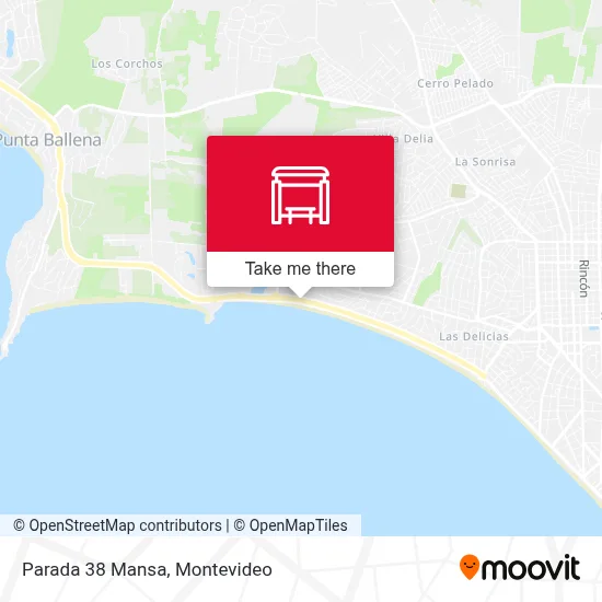 Parada 38 Mansa map