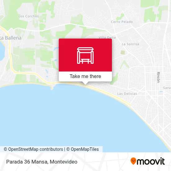 Parada 36 Mansa map