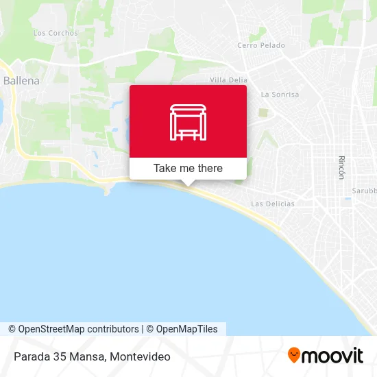 Parada 35 Mansa map