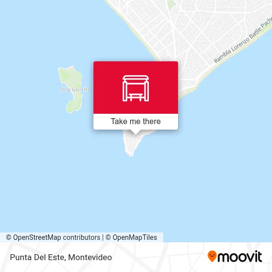 Punta Del Este map