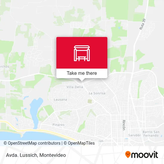 Avda. Lussich map