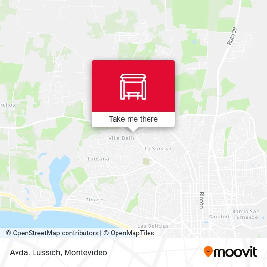 Avda. Lussich map