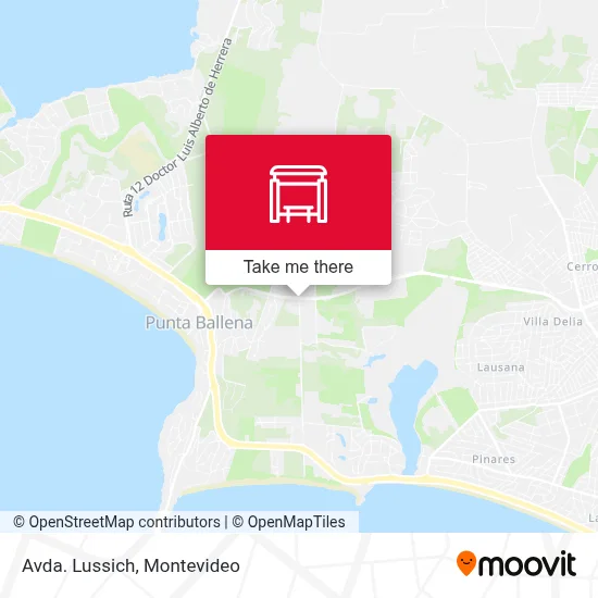 Avda. Lussich map