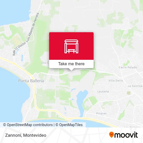 Zannoni map