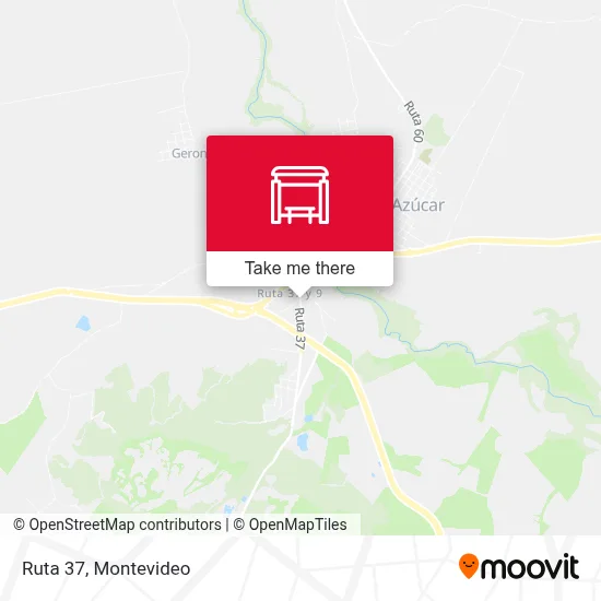 Ruta 37 map