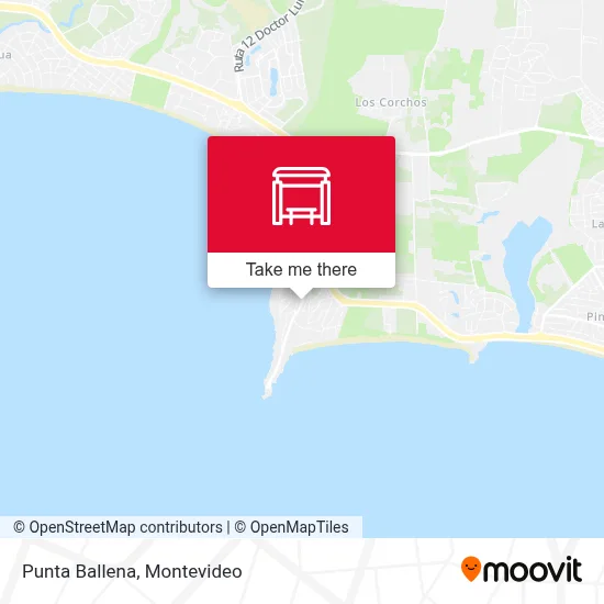 Punta Ballena map