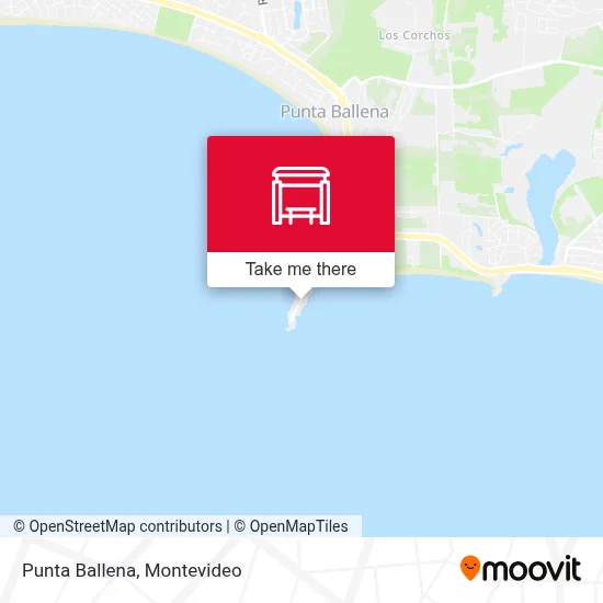 Punta Ballena map
