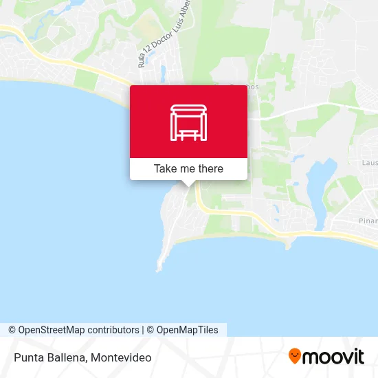 Punta Ballena map