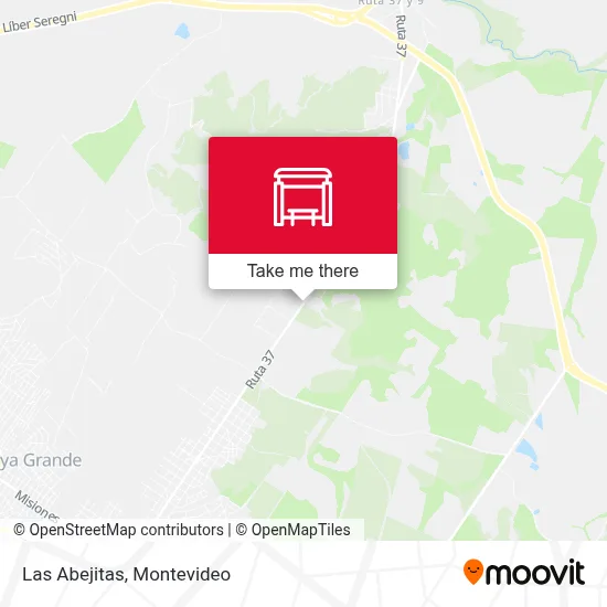 Las Abejitas map