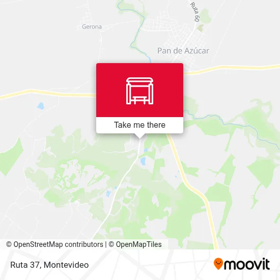 Ruta 37 map