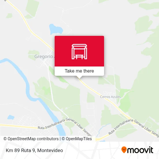Km 89 Ruta 9 map