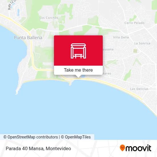 Parada 40 Mansa map