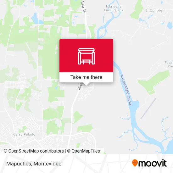 Mapuches map