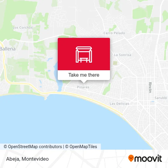 Abeja map