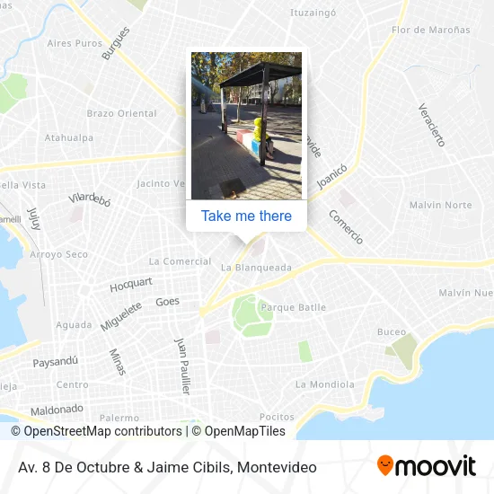 Mapa de Av. 8 De Octubre & Jaime Cibils