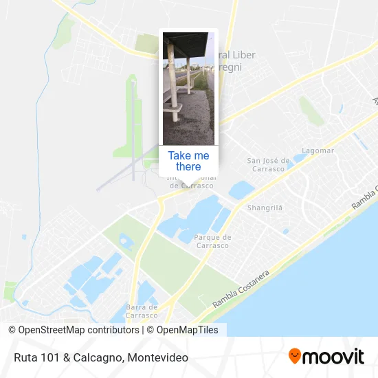 Ruta 101 & Calcagno map