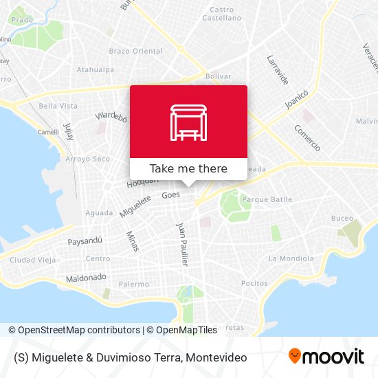 (S) Miguelete & Duvimioso Terra map
