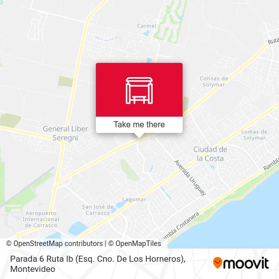 Parada 6 Ruta Ib (Esq. Cno. De Los Horneros) map