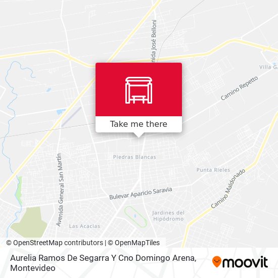Mapa de Aurelia Ramos De Segarra Y Cno Domingo Arena