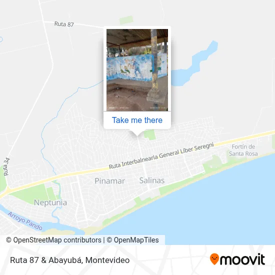 Ruta 87 & Abayubá map