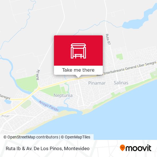 Ruta Ib & Av. De Los Pinos map