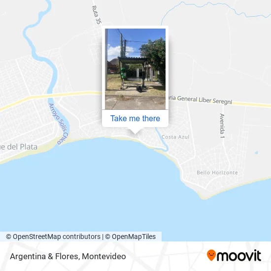 Argentina & Flores map