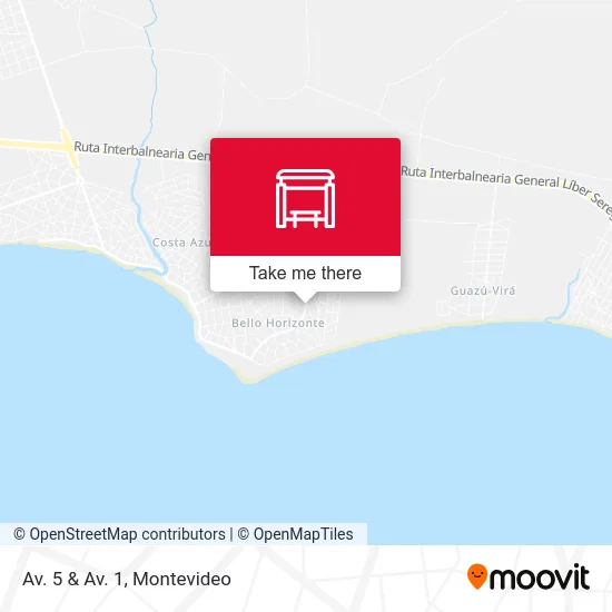 Av. 5 & Av. 1 map