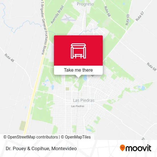 Dr. Pouey & Copihue map