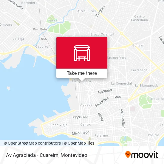 Av Agraciada - Cuareim map