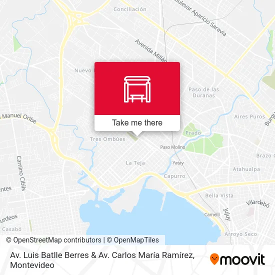 Av. Luis Batlle Berres & Av. Carlos María Ramírez map