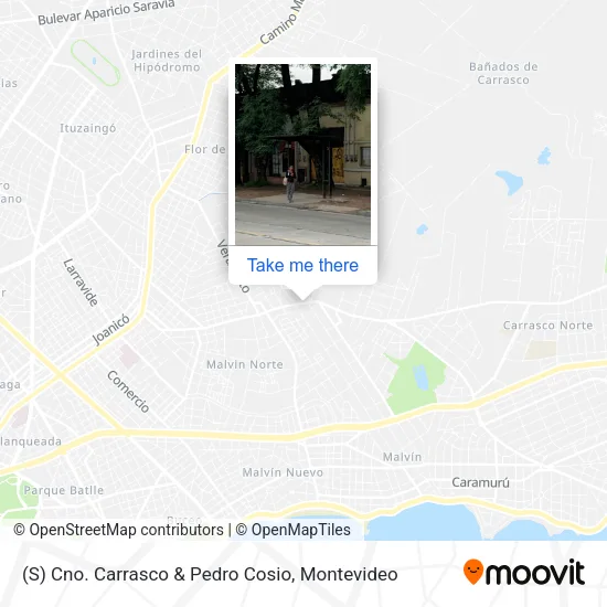 Mapa de (S) Cno. Carrasco & Pedro Cosio