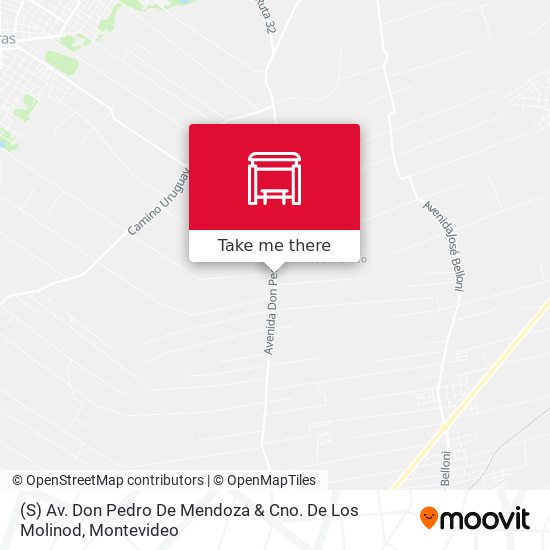 (S) Av. Don Pedro De Mendoza & Cno. De Los Molinod map