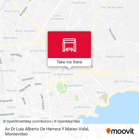 Mapa de Av Dr Luis Alberto De Herrera Y Mateo Vidal