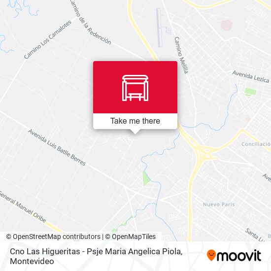 Cno Las Higueritas - Psje Maria Angelica Piola map