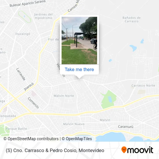 Mapa de (S) Cno. Carrasco & Pedro Cosio
