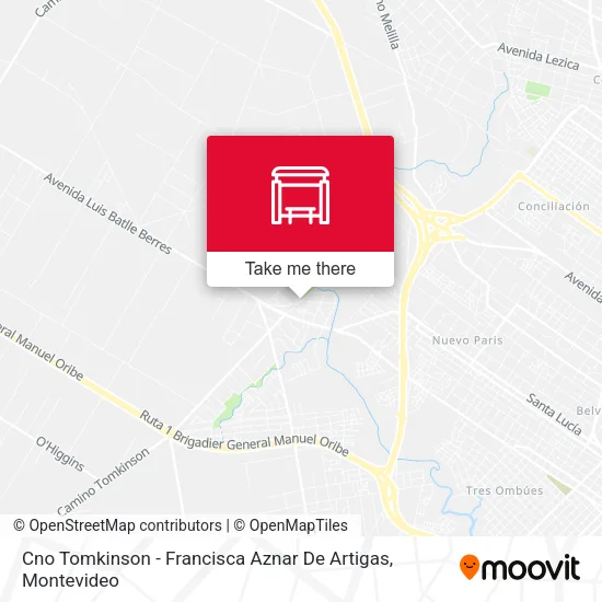 Mapa de Cno Tomkinson - Francisca Aznar De Artigas