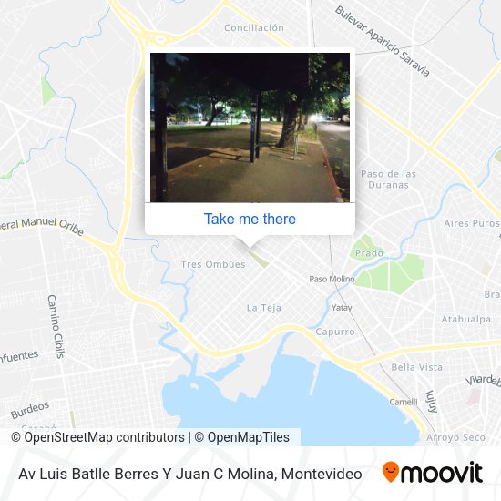 Av Luis Batlle Berres Y Juan C Molina map